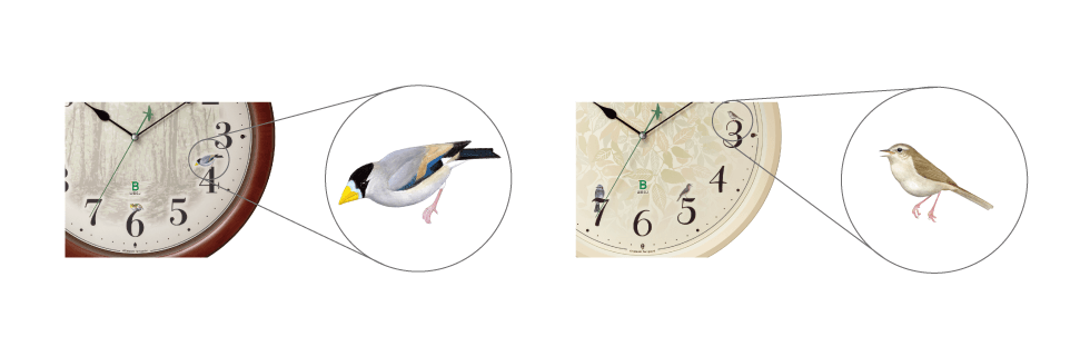 谷口高司氏の描いた野鳥イラストをフルカラーで再現