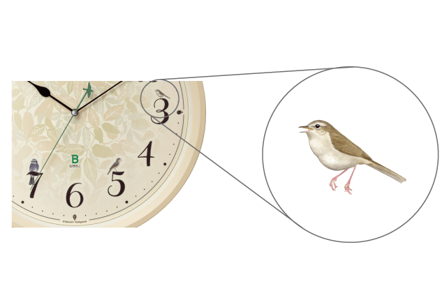 谷口高司氏の描いた野鳥イラストをフルカラーで再現