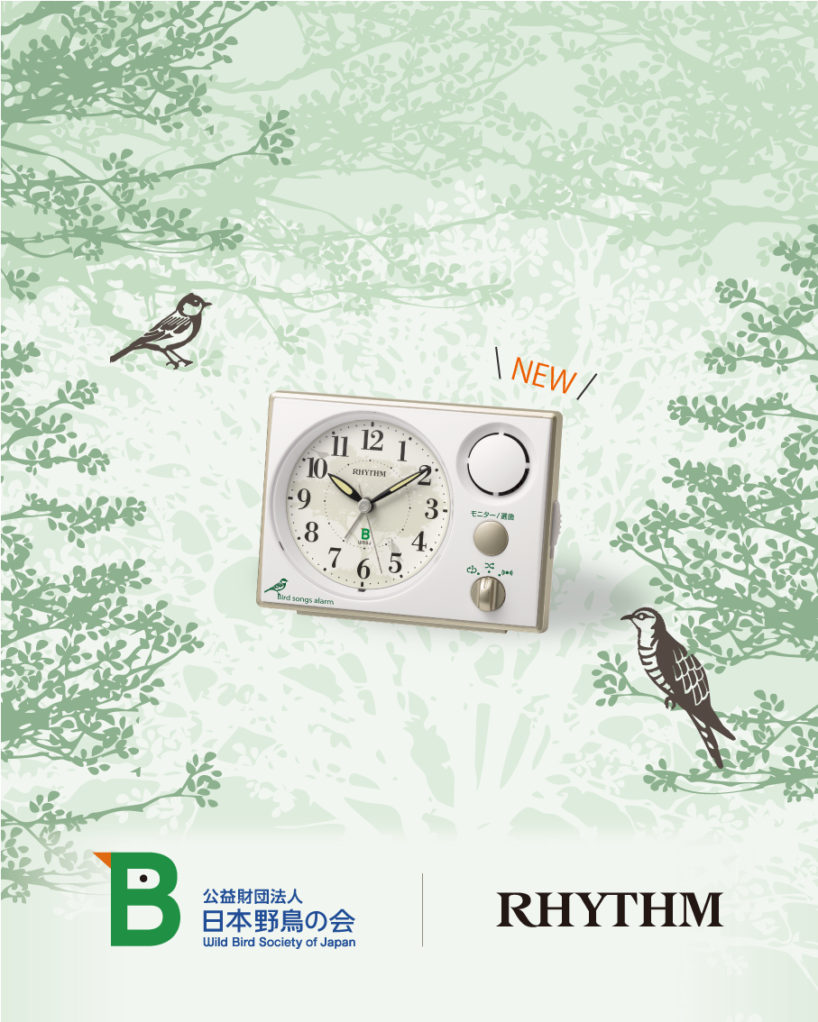 リズム時計 8MN408SR06(茶色艶仕上 アイボリー) 日本野鳥の会クロックシリーズ 報時掛時計