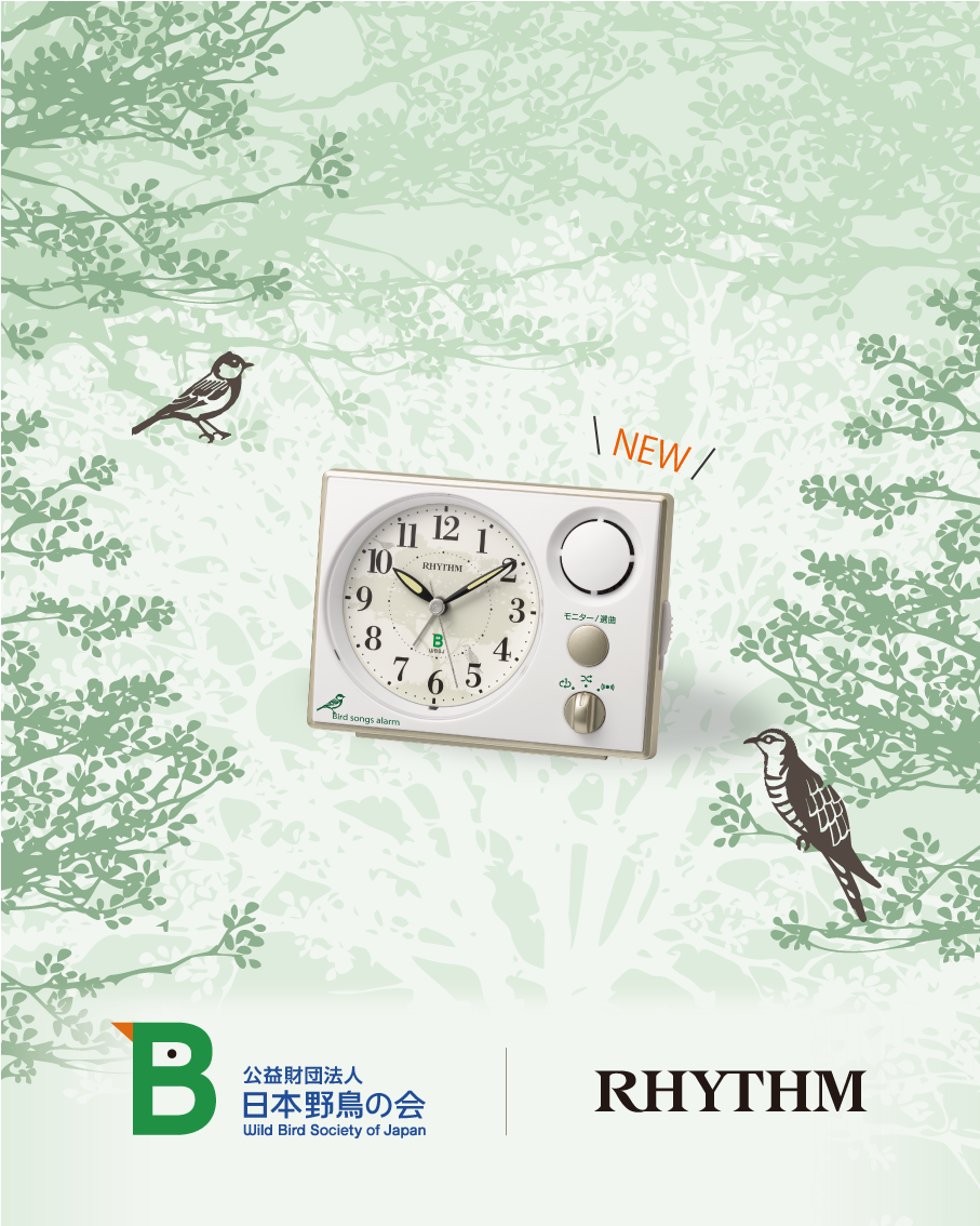 リズム(RHYTHM) 日本野鳥の会共同開発 電波式掛時計