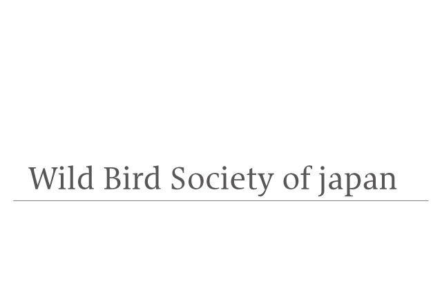 Wild Bird Society of japan